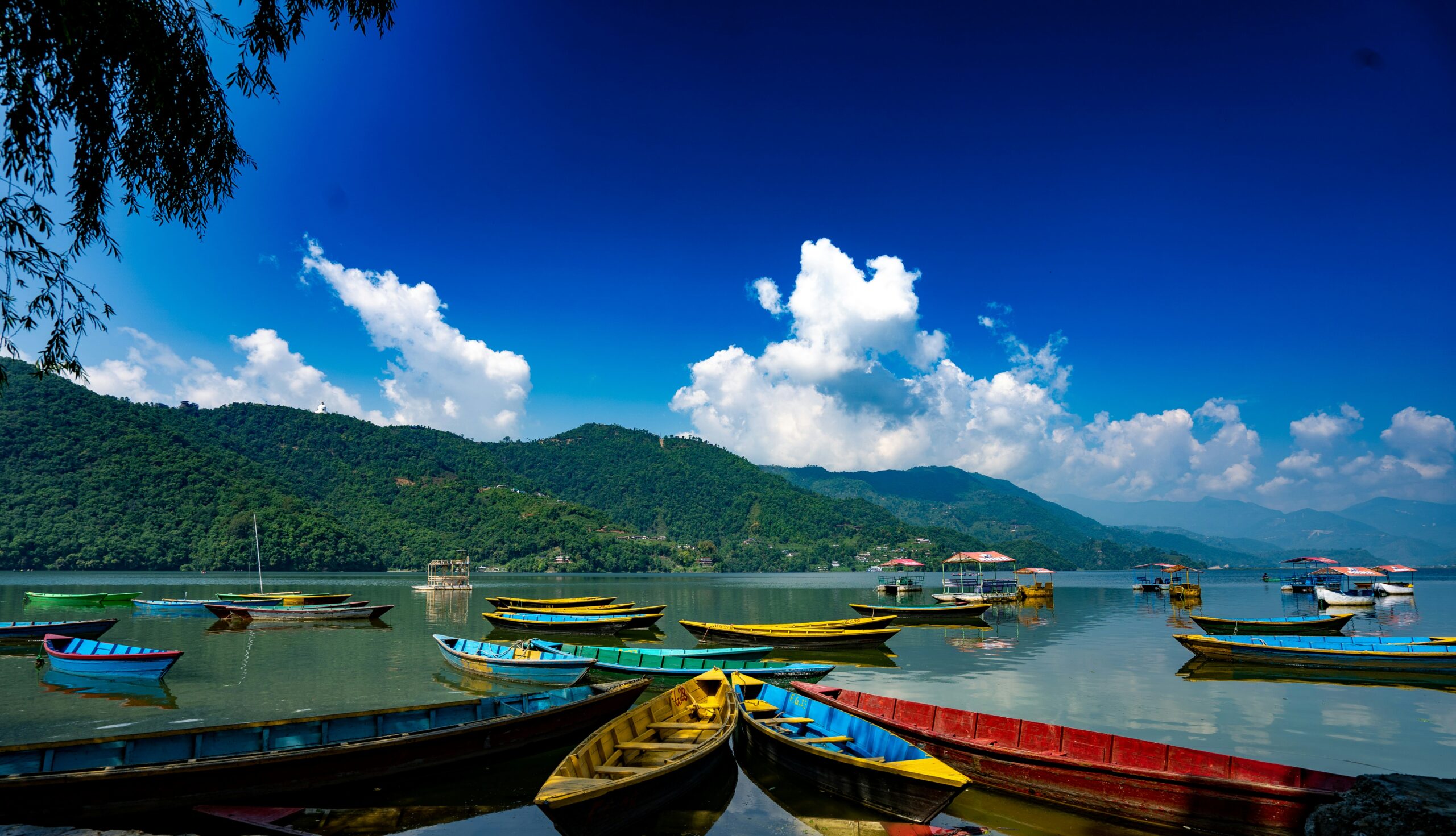Pame Pokhara Delights: Exploring Street Ambiance and Lakeside Bliss