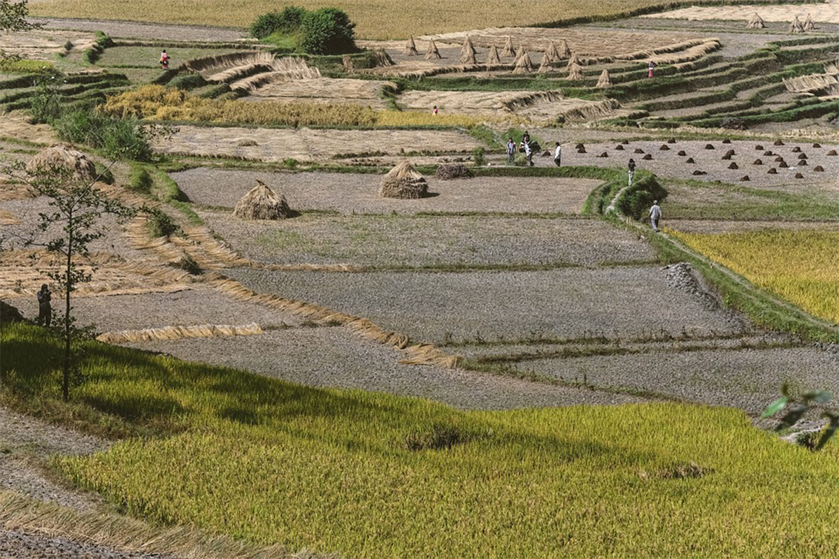 Book Chisapani Nagarkot Hiking